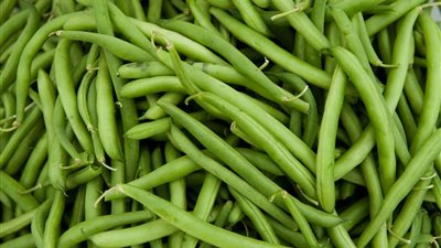خبيرة توضح ضرورة طهي الفاصوليا الخضراء لتجنب الإصابة بالتسمم