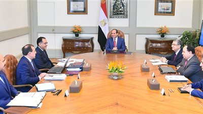 السيسي يوجه بالتركيز على مشروعات البنية الأساسية للبترول والغاز