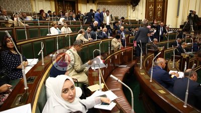 وفد من مجلس النواب المصري في أمريكا لتبادل الخبرات فى ملف مواجهة الفساد