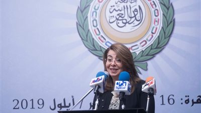 “والي”: السيسي يرعى إطلاق الإطار الاستراتيجي العربي للقضاء على الفقر متعدد الأبعاد