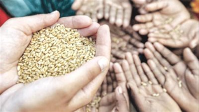 بسبب التغيرات المناخية.. توقعات بارتفاعات قياسية في أسعار الغذاء خلال 2022