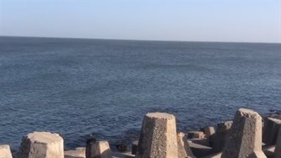 استقرار الطقس بكفر الشيخ.. ورفع درجة الاستعداد القصوى بالغردقة لمواجهة هطول الأمطار | بث مباشر