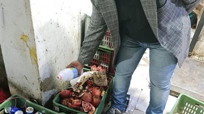 ضبط نص طن مواد غذائية غير صالحة للاستهلاك الآدمي وتحرير 8 محاضر بالدقهلية │ صور