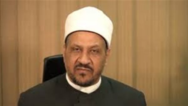 الدكتور مجدي عاشور