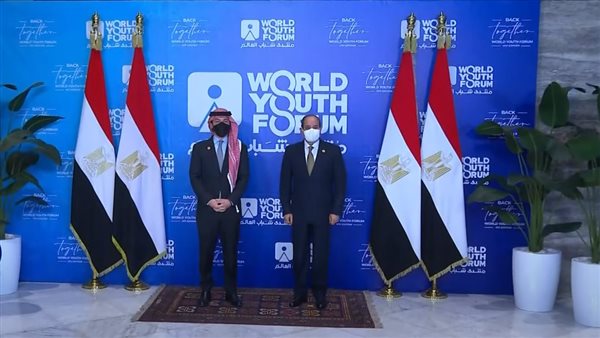 السيسي يستقبل ولي