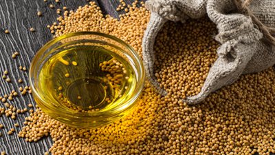 غنية بالدهون.. أبرز فوائد زيت الخردل