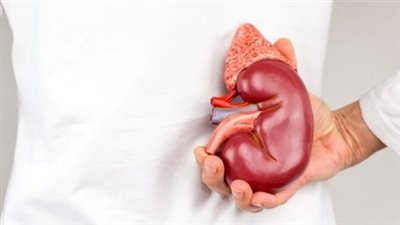 9 خطوات طبيعية لـ علاج الكبد الدهني في المنزل دون أدوية