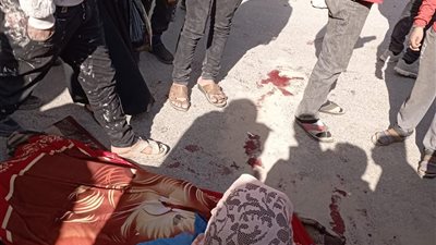 طريق الموت.. مصرع طالبة دهستها سيارة ميكروباص بمحور عرابي |فيديو 