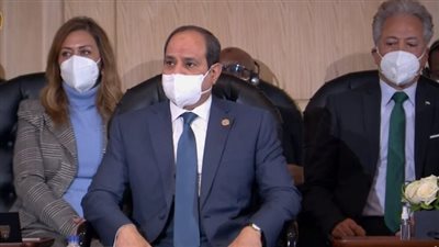 السيسي: اتخذنا خطوات مهمة لحماية حقوق الانسان دون ضغط 