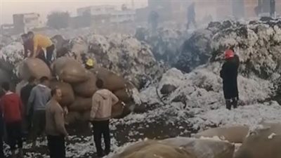 الحماية المدنية بالغربية تنجح في إخماد النيران بشونة قطن بكفر الزيات |بث مباشر