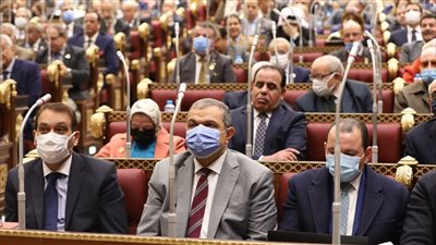 مجلس الشيوخ يوافق على المادة الثانية من مشروع قانون المجلس الأعلى لصناعة السيارات