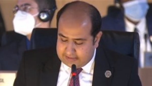 ممثل مصر بجلسة نموذج