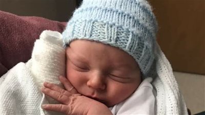 بسبب نوم الأم.. مصرع رضيع بعد اعتداء كلب العائلة عليه بطريقة وحشية