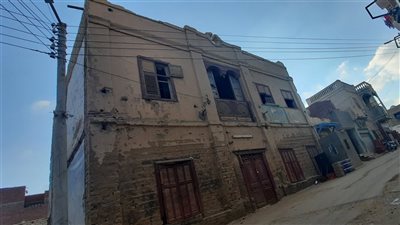 يرسلون الجوابات بالجمال.. حكاية أول مكتب بريد في الوادي الجديد