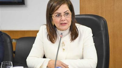 التخطيط: صندوق مصر السيادي يعمل على تعزيز الاستثمار مع القطاع الخاص