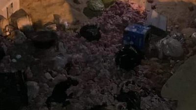 ضبط 860 كيلو مواد غذائية ولحوم فاسدة بالعاشر من رمضان | صور 