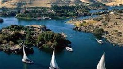 في عيدها القومي.. الزراعة توضح مجهوداتها في أسوان | إنفوجراف