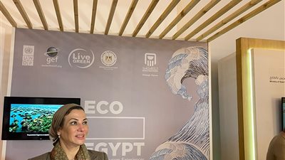 وزيرة البيئة: توصيات جلسة المناخ سيتم البناء عليها فى مؤتمر الأطراف الـ27 