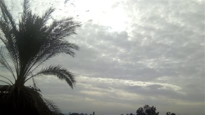 انخفاض الحرارة نهارا وصقيع ليلًا.. طقس الأقصر اليوم │ صور