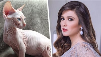 إنتي مربية جن في البيت.. قط ياسمين عبد العزيز يثير جدل متابعيها | فيديو جراف