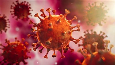 آخرهم إدوارد وبسمة وهبة.. فنانون وإعلاميون أعلنوا إصابتهم بكورونا |فيديو