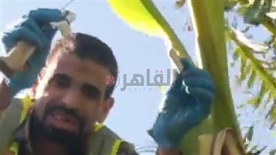 حبس دجال سوهاج الشهير 15 يومًا على ذمة التحقيقات