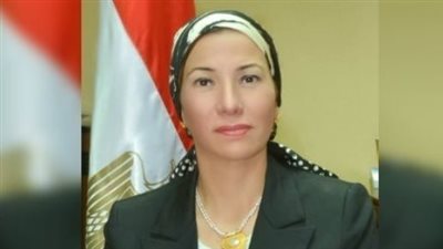 وزيرة البيئة: الاتفاق مع 8 شركات لضخ استثمارات في مجال الطاقة الكهربائية من المخلفات