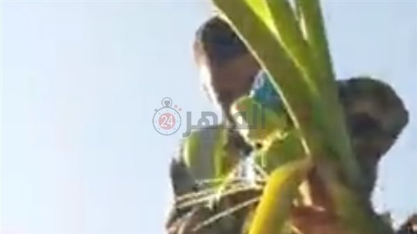 دجال سوهاج الشهير