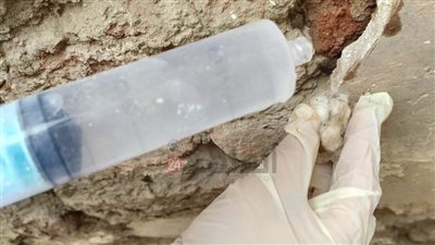 الآثار تبدأ مشروع ترميم درء الخطورة للنقوش الجصية بدير القديس أبو فانا بالمنيا | صور 