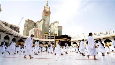 نكشف عدد شركات السياحة المستوفاة لشروط العمرة 