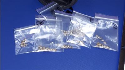 جمارك الطرود البريدية بالقاهرة تضبط محاولة تهريب عدد من بذور الماريجوانا 