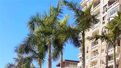 متحف المجوهرات الملكية يسلط الضوء على نبات حديقته | صور 