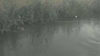 بث مباشر | بسبب بطة.. طفل يلقى مصرعه على يد ابن عمته في رشاح بولاق الدكرور