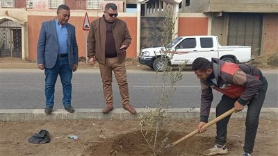 زراعة 250 شجرة مُثمرة بـ طريق القاهرة أسيوط الزراعي بمحافظة بني سويف | صور