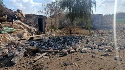 إزالة 13 حالة بناء مخالف بمساحة 22 قيراطًا في قليوب│ فيديو