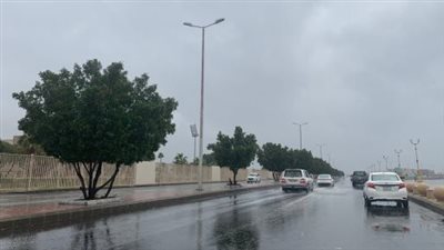 طقس الإسكندرية غدًا.. درجات الحرارة تقترب من الصفر مصحوبة برياح وأمطار غزيرة