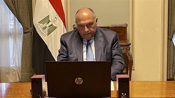 شكري يشارك في اجتماع