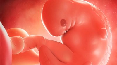 دعاء عظيم لمن تريد الحمل السريع قبل الدورة 