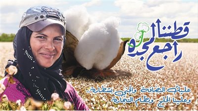 فرصة للمتأخرين عن التوريد.. فتح محالج القابضة للغزل لتجميع الأقطان حتى منتصف فبراير المقبل