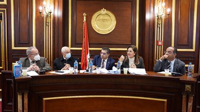 وزيرة التخطيط تستعرض محاور المشروع القومي لتنمية الأسرة المصرية بمجلس الشيوخ
