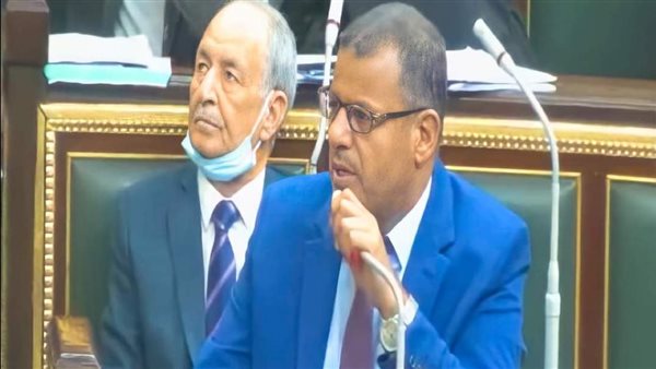 النائب محمد زكي