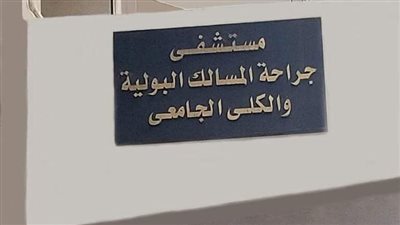 الجديد في مناظير علاج حصوات الكلى.. ورشة عمل بمستشفى جراحة المسالك البولية والكلى بجامعة أسيوط
