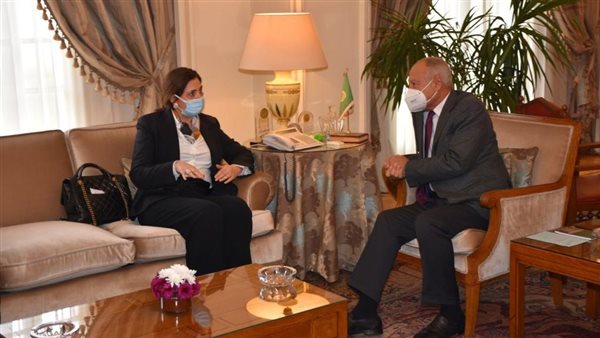 أبو الغيط والدكتورة