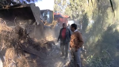 إزالة 41 حالة تعدي على أملاك الري بالدقهلية ضمن الموجة 19 | صور