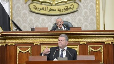 أول تحرك برلماني ضد قرارات وزير قطاع الأعمال بشأن الإضرار بعمال الشركات القابضة | خاص