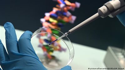 مدمن يقطع جثة صديقه بصاروخ.. وجهات التحقيق تأمر بتحليل DNA للتأكد من هويته