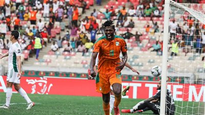 خروج حامل اللقب.. تعرف على ترتيب المجموعة الخامسة في كأس الأمم الإفريقية 2021