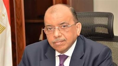 التنمية المحلية: توفير 27 ألف فرصة عمل بعد تنفيذ 3429 مشروعا بتكلفة 537 مليون جنيه