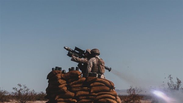 أنظمة صواريخ ستينجر