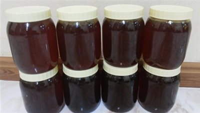 عسل سايب وزيت تحمير.. القبض على صاحب سرجة دون ترخيص بالقاهرة